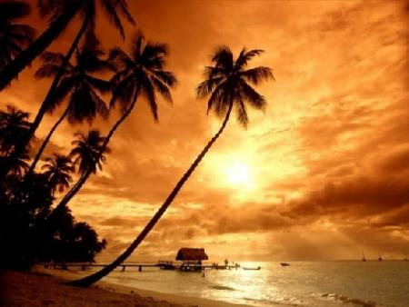paysage