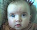 petite puce